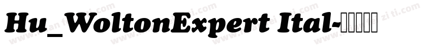 Hu_WoltonExpert Ital字体转换